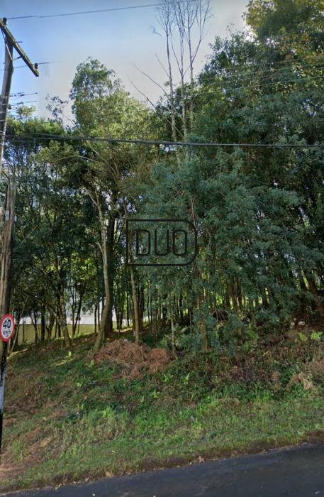 Terreno próximo ao Enxutão