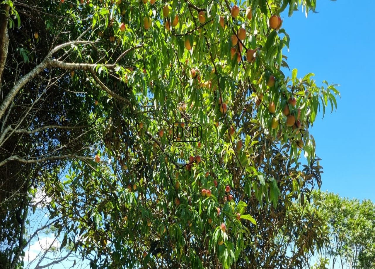 Condomínio Residencial da Montanha