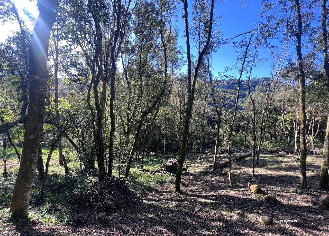 Condomínio Condado Angel