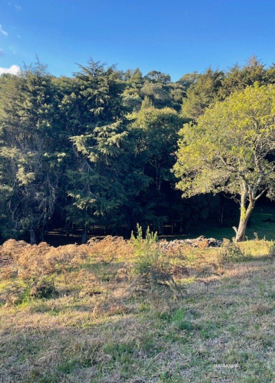 Loteamento Village Mirasol