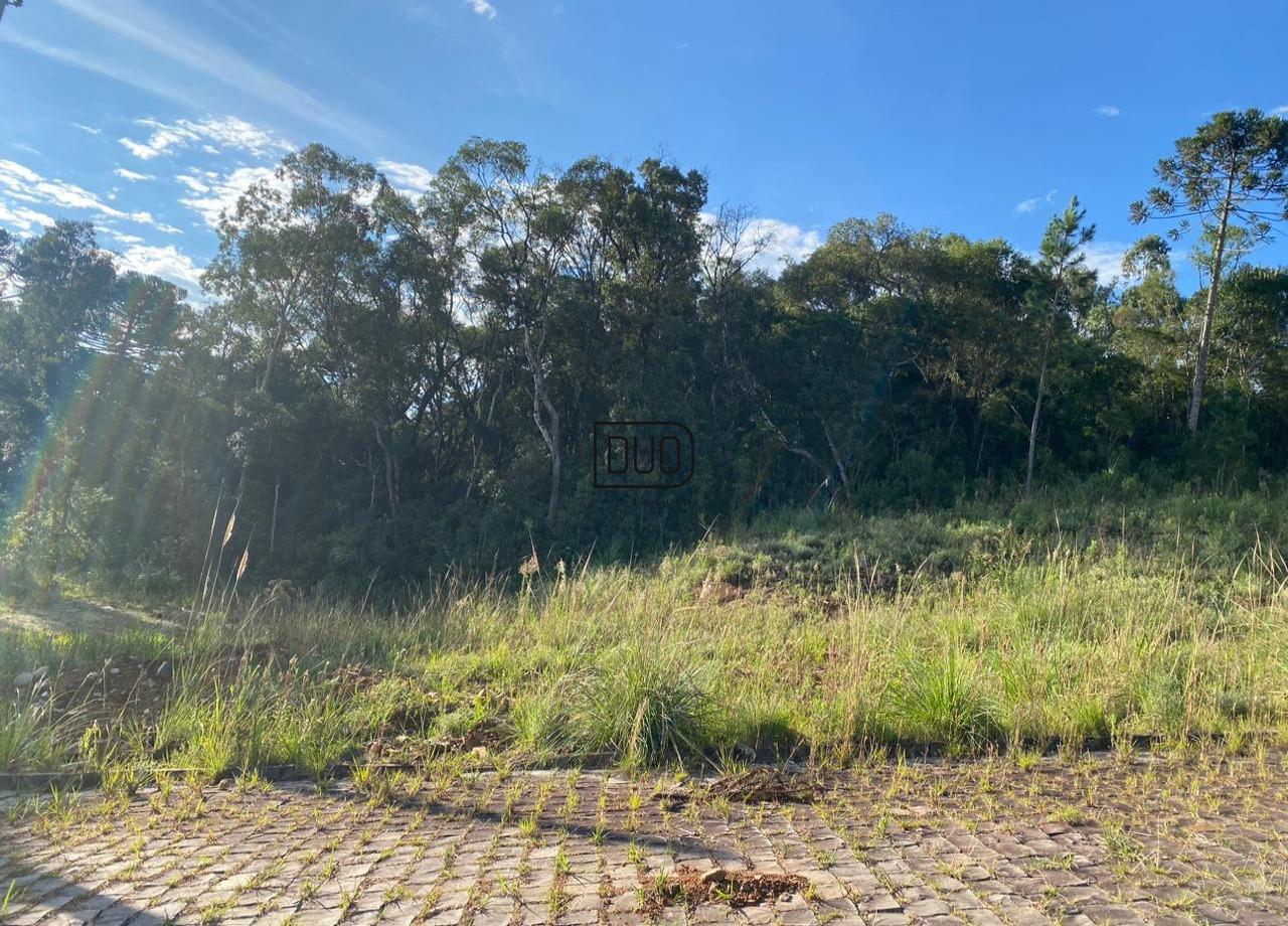 Loteamento Vale dos Pinheiros