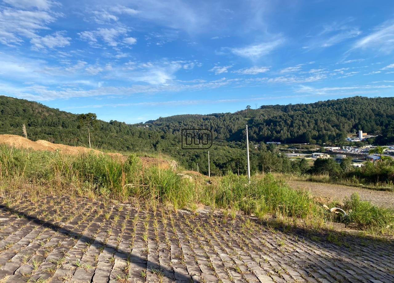 Loteamento Vale dos Pinheiros