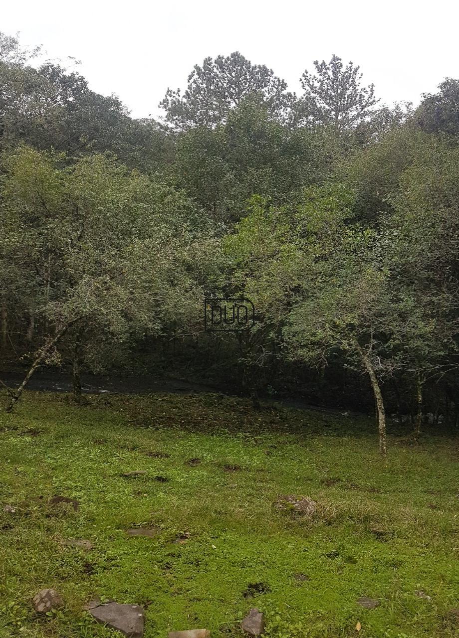 Chacara na Conceicao da Linha Feijo