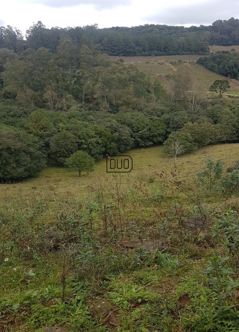 Chacara na Conceicao da Linha Feijo