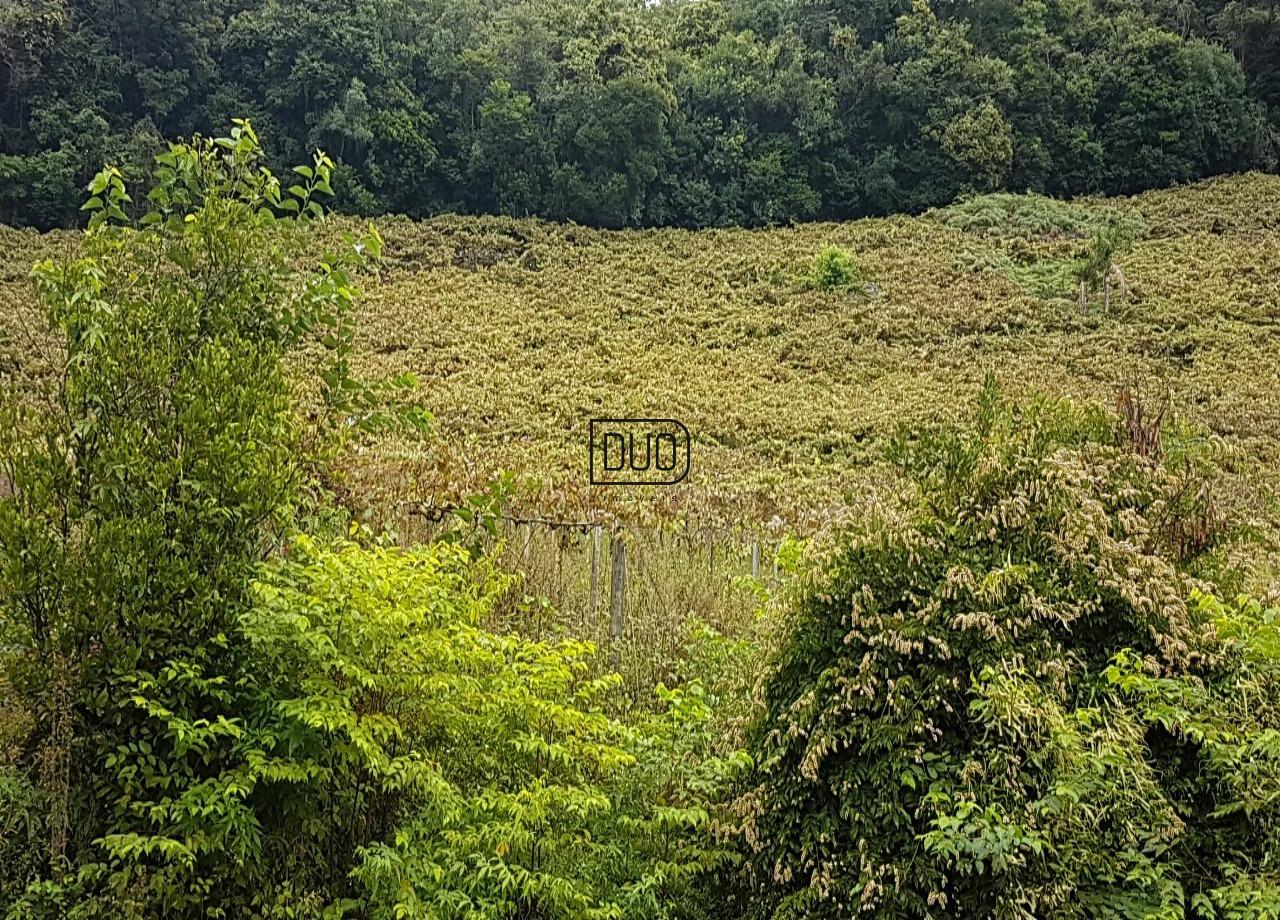 Chacara na Conceicao da Linha Feijo