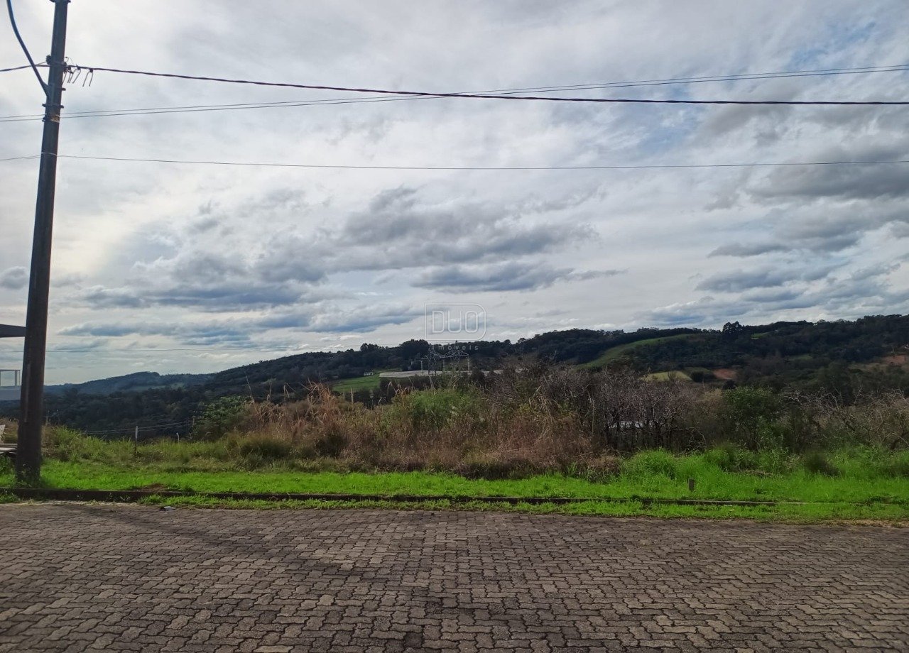 Terreno Monte Berico