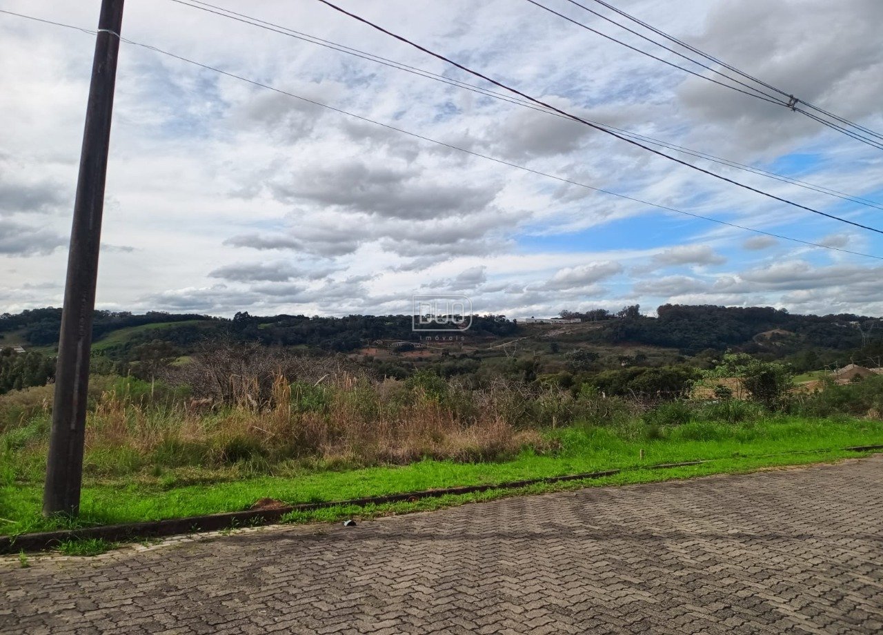 Terreno Monte Berico