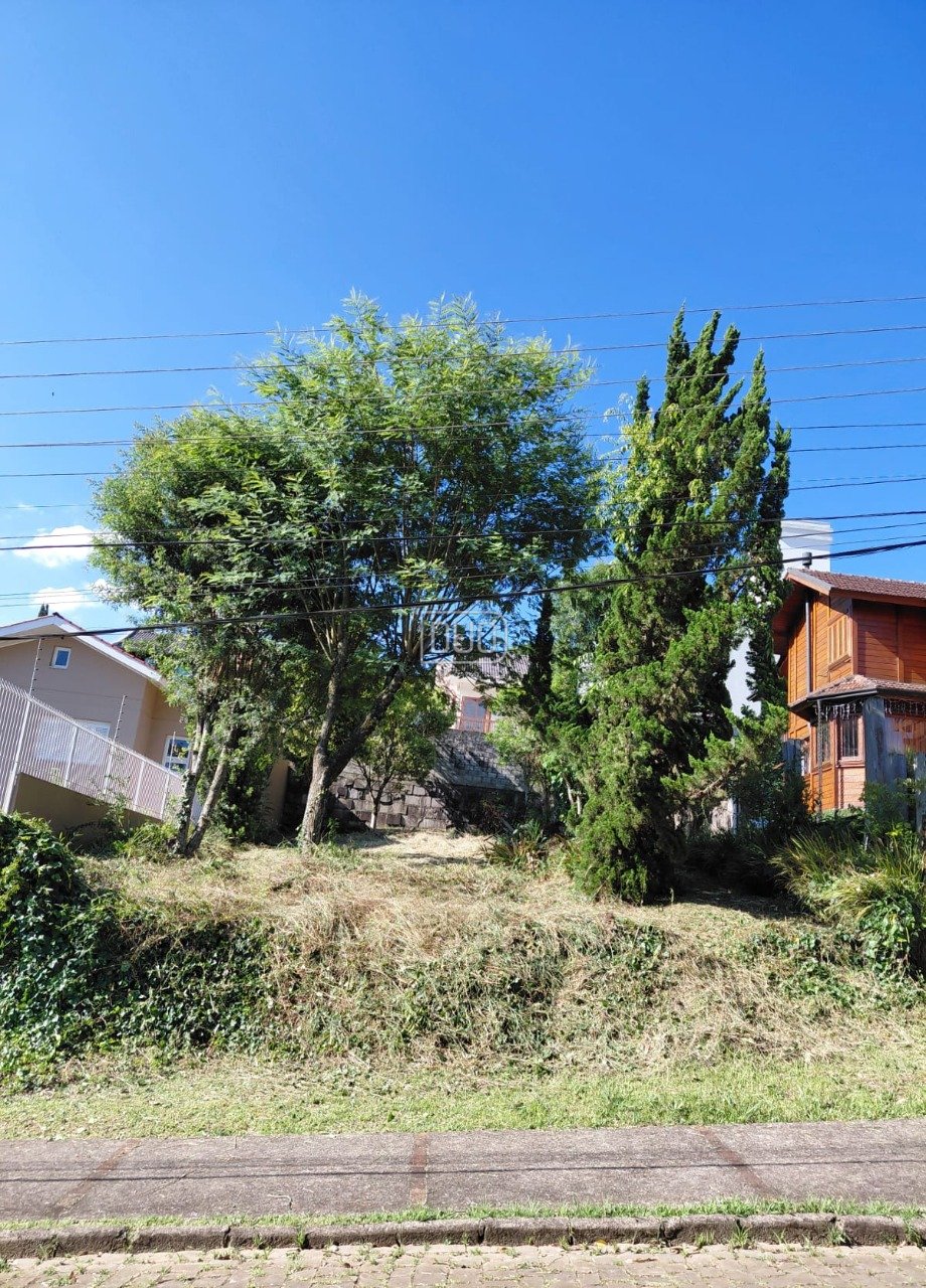 Terreno no Colina Sorriso