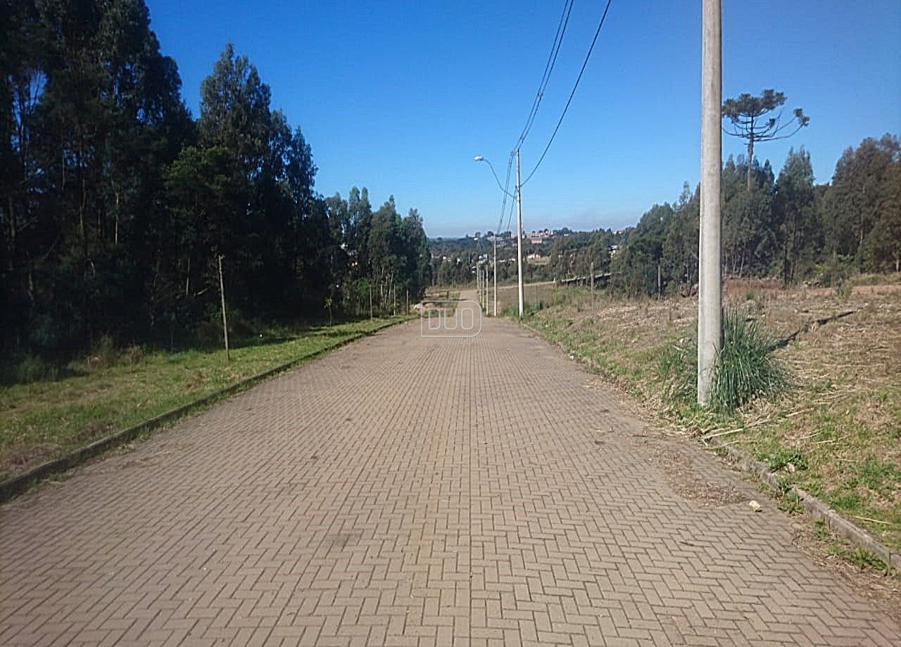 Terrenos no São Ciro