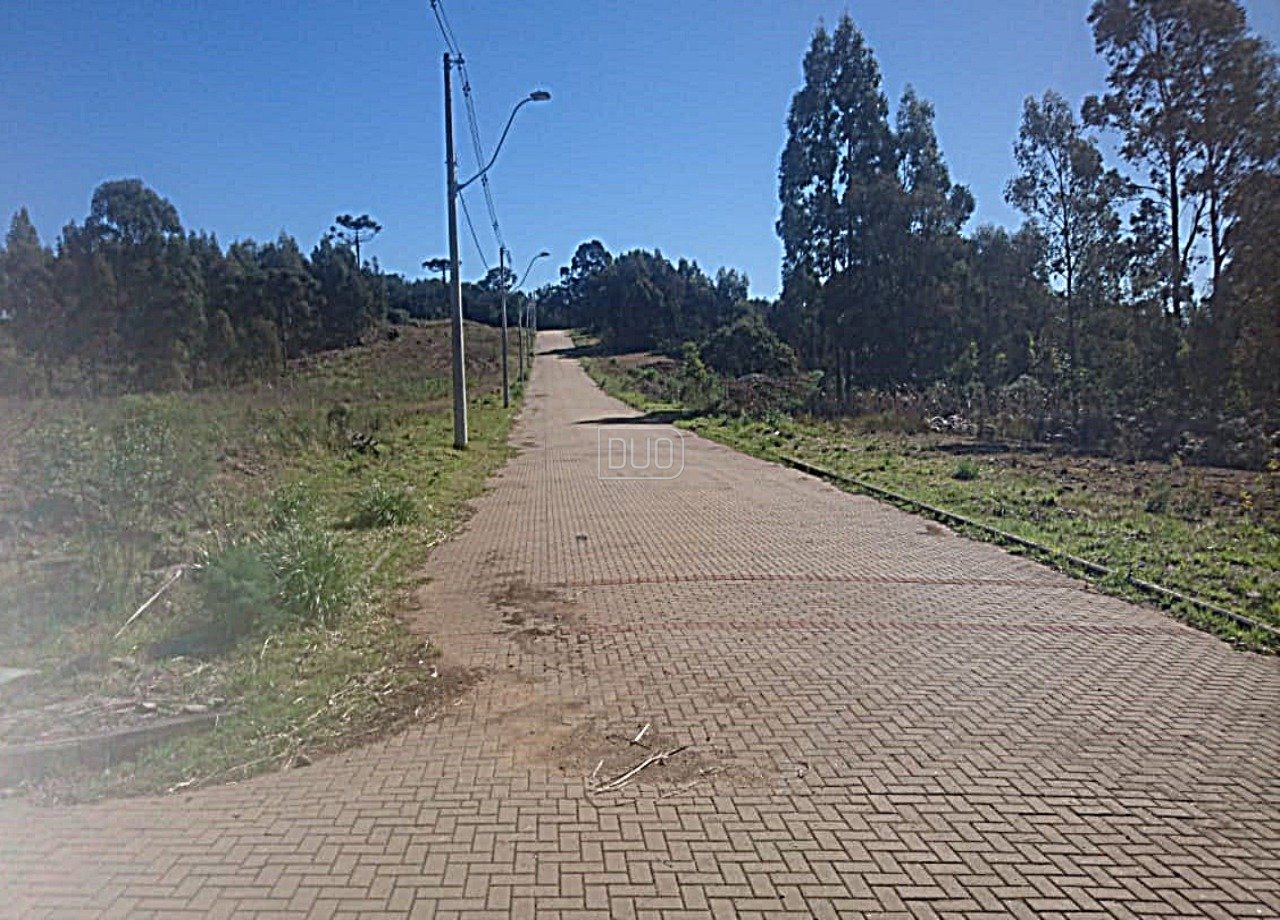 Terrenos no São Ciro