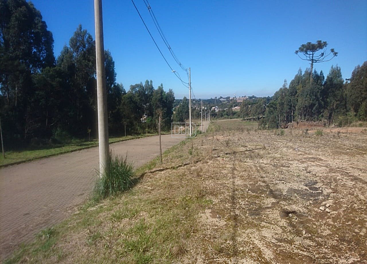 Terrenos no São Ciro
