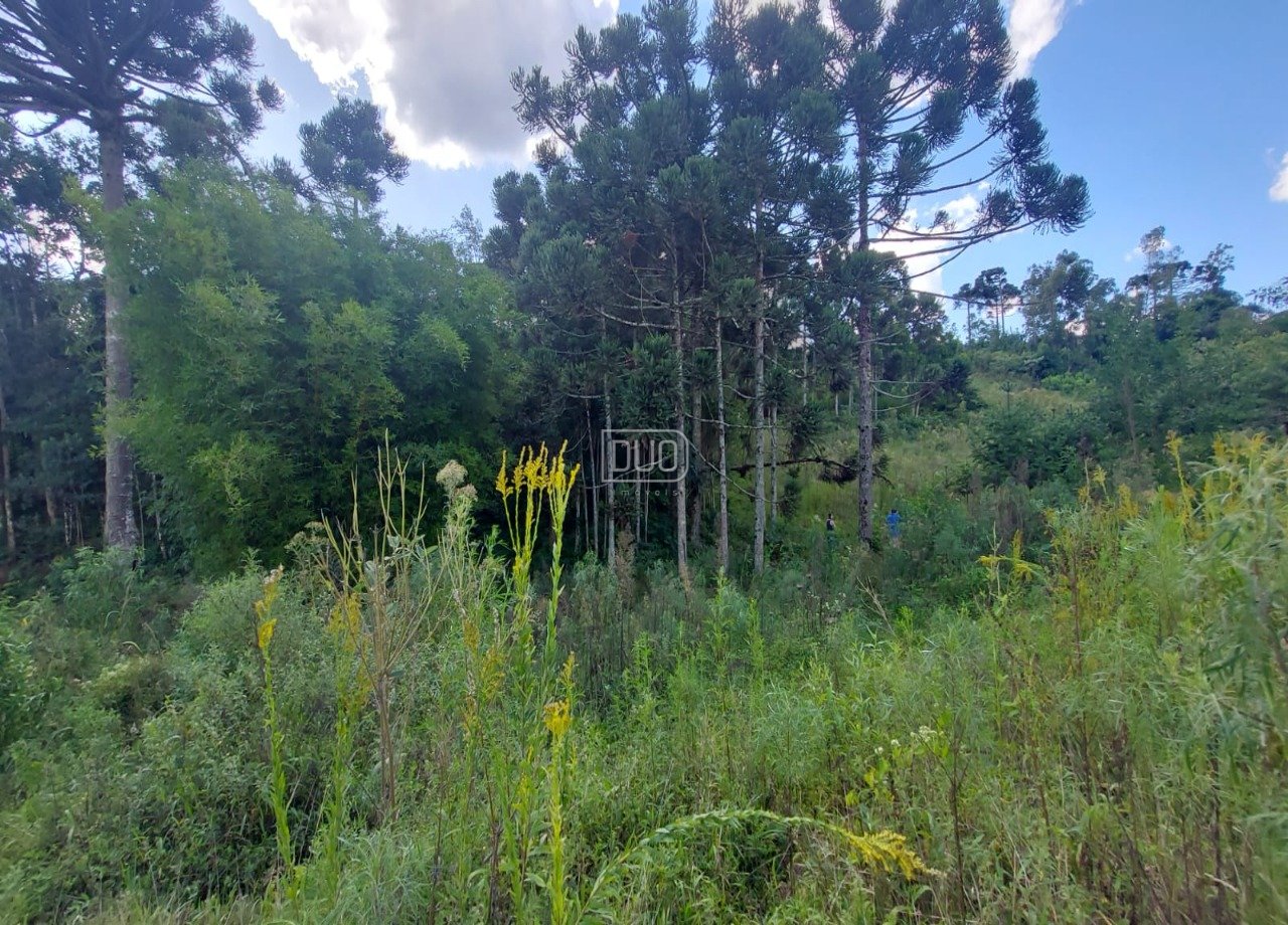 Chácara no Travessão Diamantina
