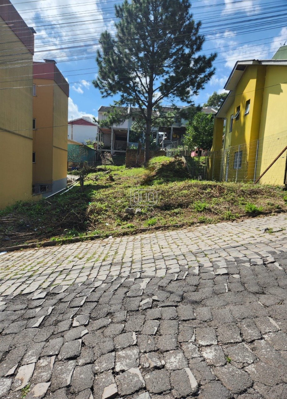 Terreno no Loteamento Bosque das Araucarias