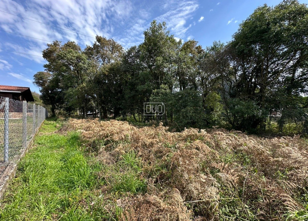 Terreno Sao Luiz