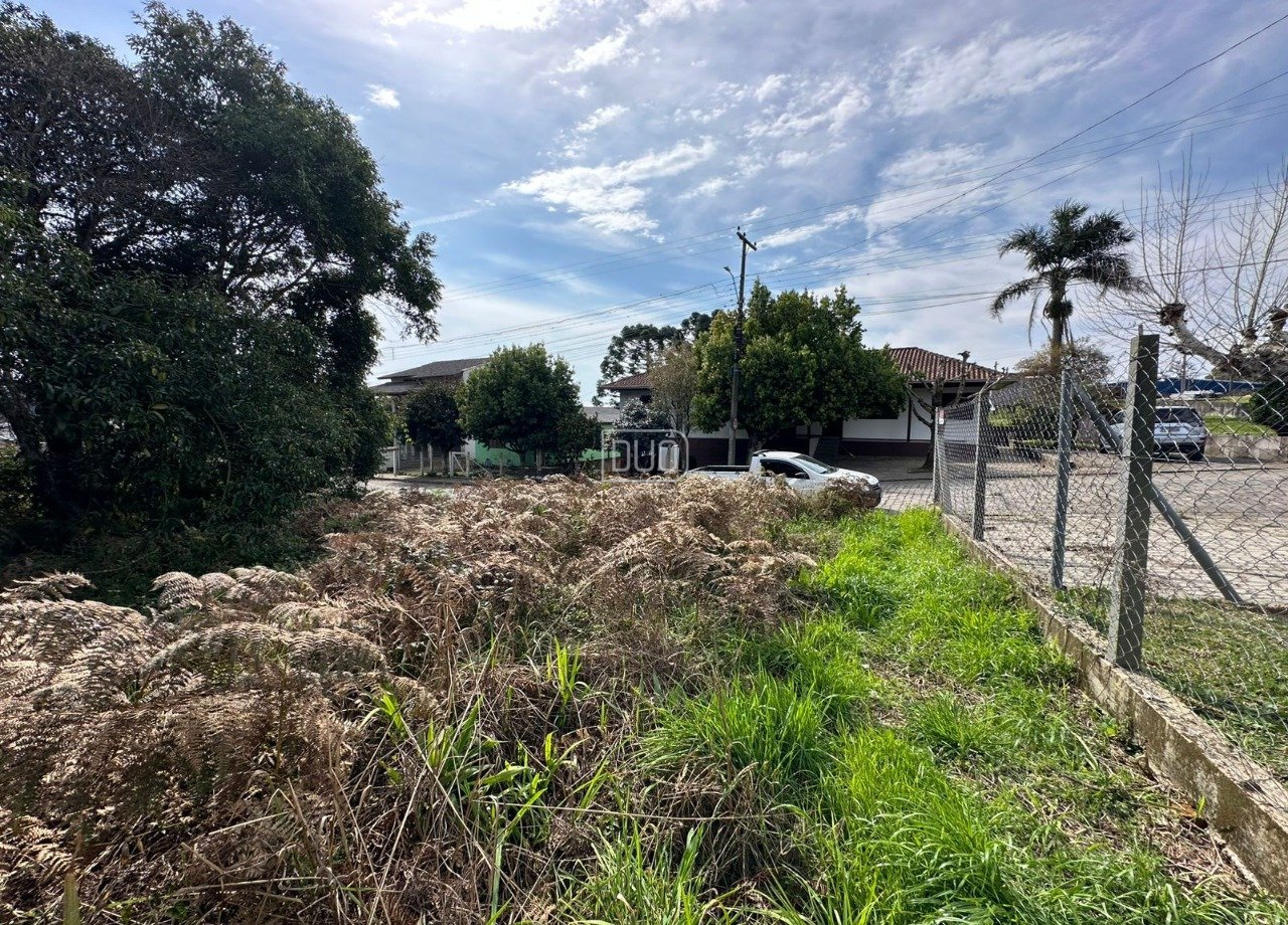 Terreno Sao Luiz