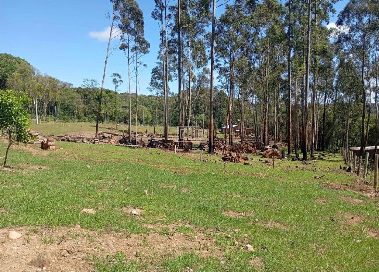 Terras Rurais em Vila Oliva